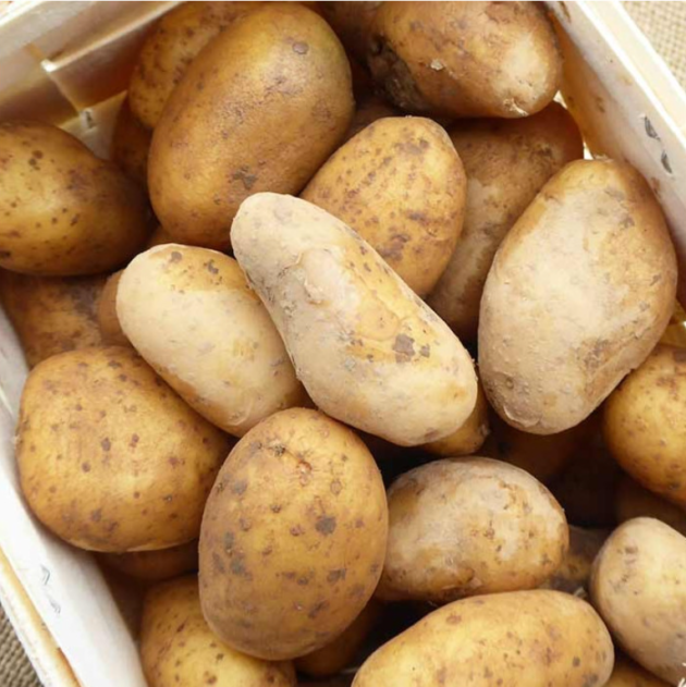 Pomme de terre – CFP MED